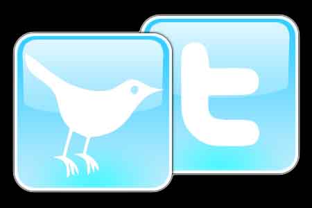 Twitter logo bird
